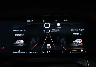 Подержанный автомобиль Tank 300 2024 года (12 фото)