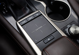 Подержанный автомобиль Lexus RX 2021 года (21 фото)