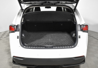 Подержанный автомобиль Lexus NX 2016 года (23 фото)