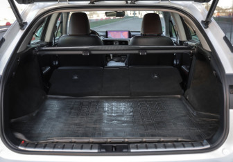 Подержанный автомобиль Lexus RX 2016 года (38 фото)