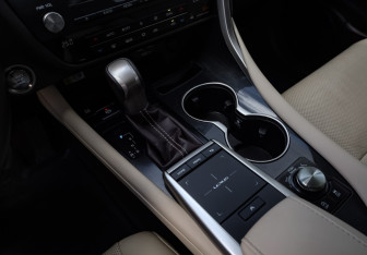 Подержанный автомобиль Lexus RX 2019 года (19 фото)