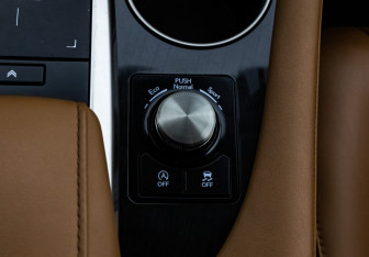 Подержанный автомобиль Lexus RX 2019 года (20 фото)