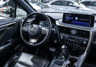 Подержанный автомобиль Lexus RX 2020 года (12 фото)