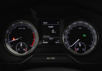 Подержанный автомобиль Skoda Octavia Liftback 2019 года (21 фото)