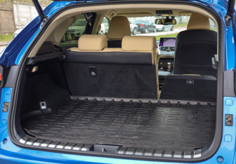 Подержанный автомобиль Lexus NX 2019 года (30 фото)