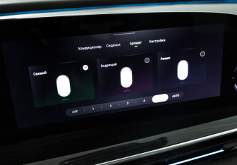 Подержанный автомобиль Exeed RX 2023 года (26 фото)