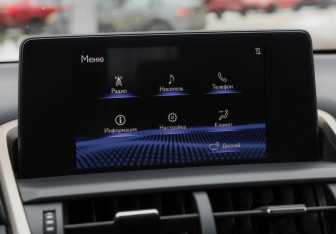 Подержанный автомобиль Lexus NX 2018 года (17 фото)