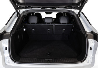 Подержанный автомобиль Exeed RX 2025 года (37 фото)