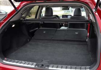 Подержанный автомобиль Lexus RX 2021 года (39 фото)