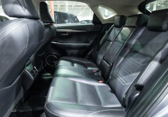 Подержанный автомобиль Lexus NX 2017 года (19 фото)