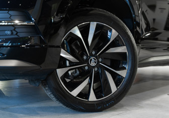 Новый Skoda Karoq 2025 (14 фото)