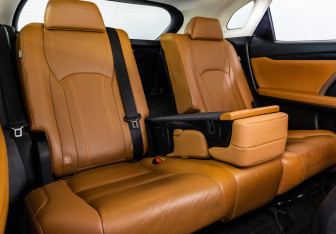 Подержанный автомобиль Lexus RX 2019 года (30 фото)