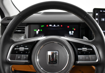 Подержанный автомобиль Tank 500 2023 года (23 фото)