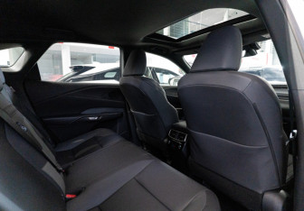 Новый Lexus RX 2025 (11 фото)