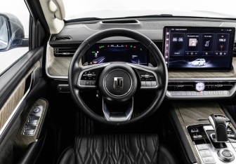 Подержанный автомобиль Tank 500 2023 года (14 фото)