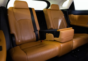 Подержанный автомобиль Lexus RX 2020 года (34 фото)
