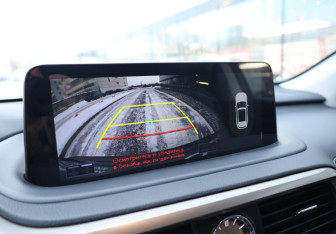 Подержанный автомобиль Lexus RX 2020 года (19 фото)