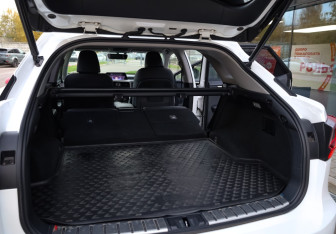 Подержанный автомобиль Lexus RX 2018 года (35 фото)