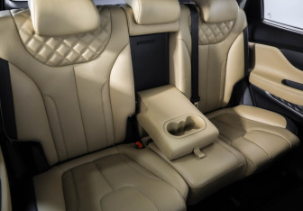 Подержанный автомобиль Hyundai Santa Fe 2021 года (30 фото)