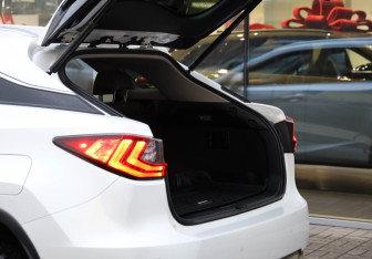 Подержанный автомобиль Lexus RX 2016 года (19 фото)