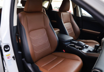 Подержанный автомобиль Lexus NX 2017 года (25 фото)