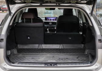 Подержанный автомобиль Lexus RX 2017 года (39 фото)